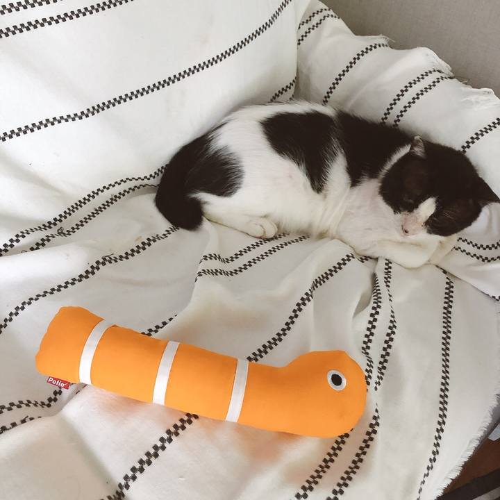 0c55d9c4 ac30 457c bd53 b53f7b6c47aa 1628682564248