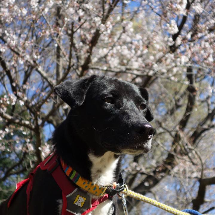 0c55e612 dbc6 4df1 9b89 2f109bea6814 1585095315913