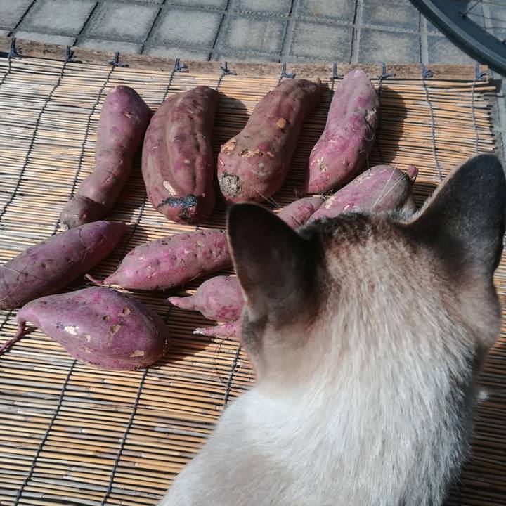 0c55f673 9b1d 4c4f 9ac7 e41be062303d 1571707465484