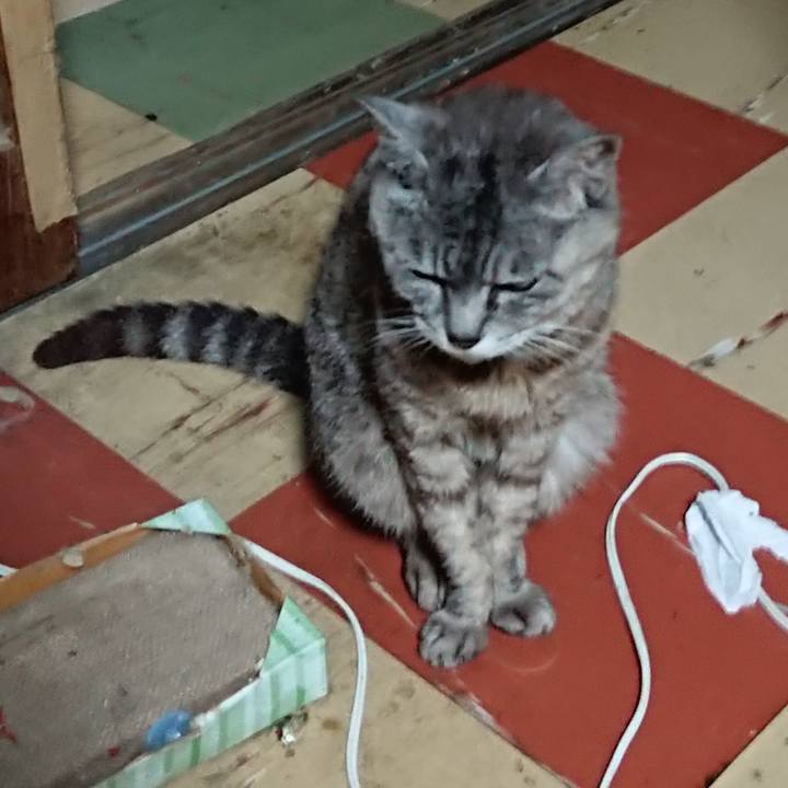 0c5603f5 2bb6 4334 a003 2bd68769a2a2 1565725636166