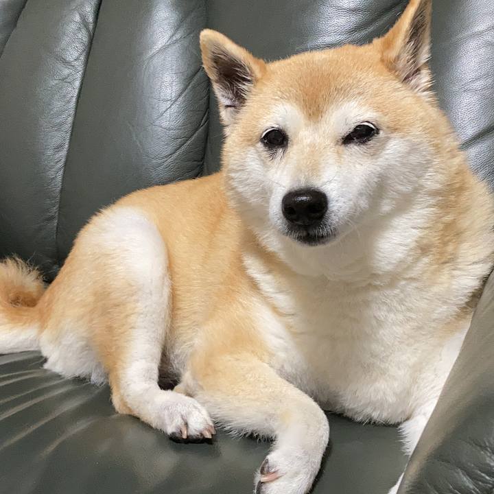 0c561185 7d52 4364 ad1a ce64f44f7108 1634634512587