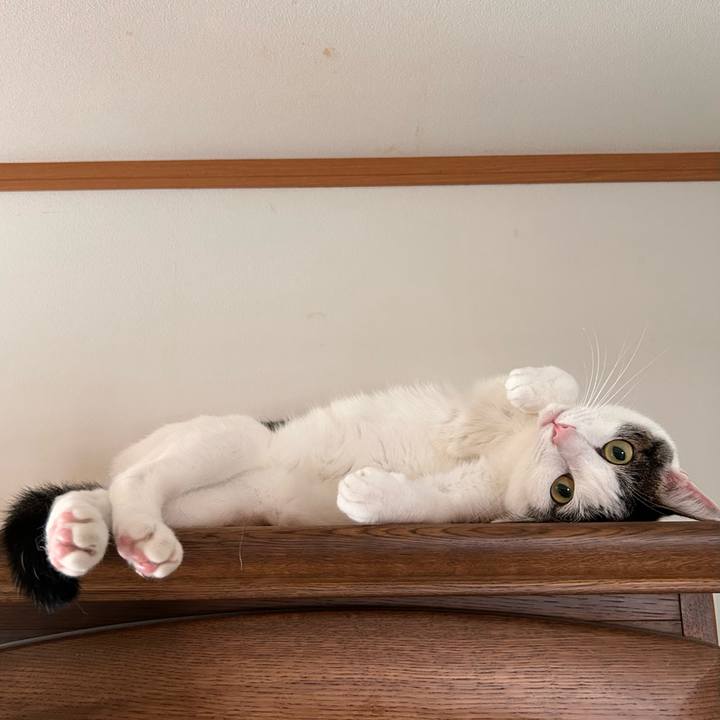 0c561f21 2d2f 416b 99b1 feccccc49d1e 1755729770741