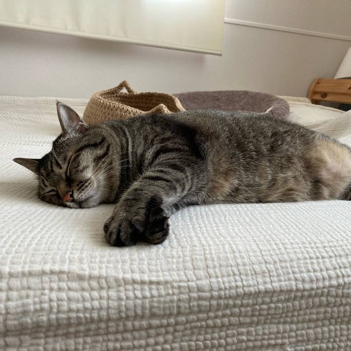 0c562e35 549c 4344 8556 454b3c95d8f6 1758755975932