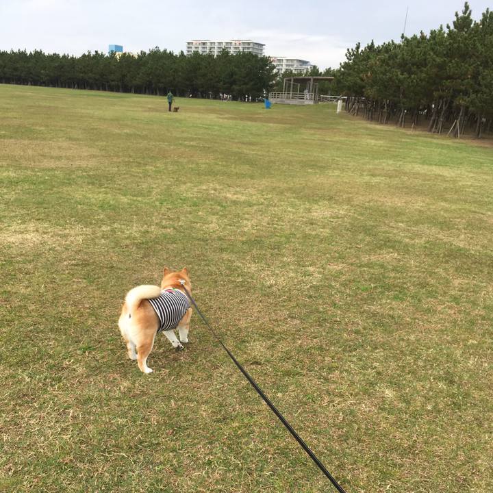 0c567eaa 8039 4c3c 9b4d 8b84b7fe495e 1541468328470