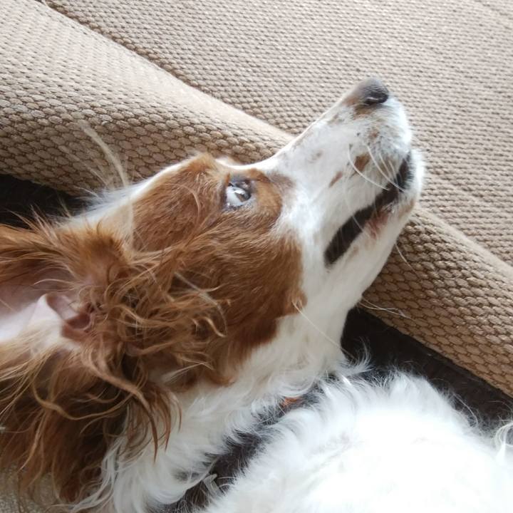 0c569b20 229b 46a4 a283 7cf803337503 1531784789856