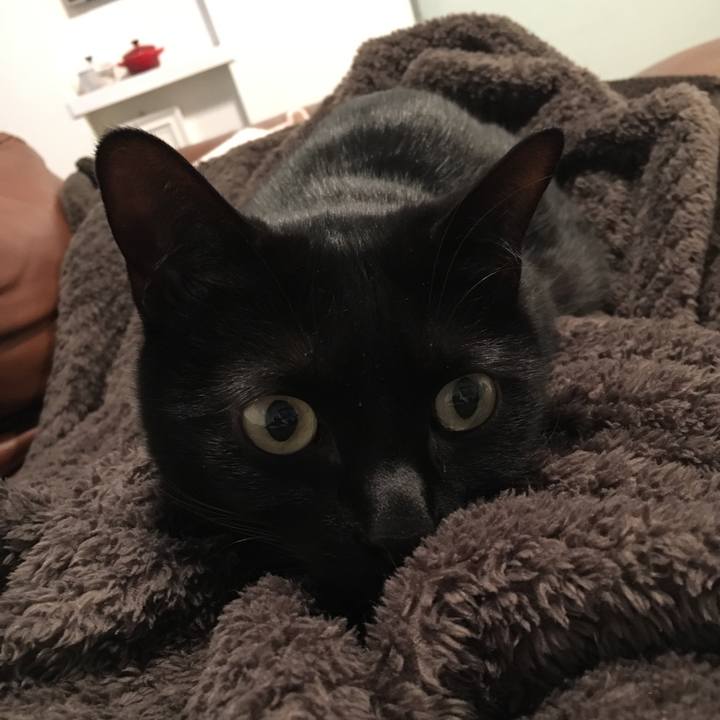 0c56a685 4384 4fba 989b 6003dda329fa 1521596227151