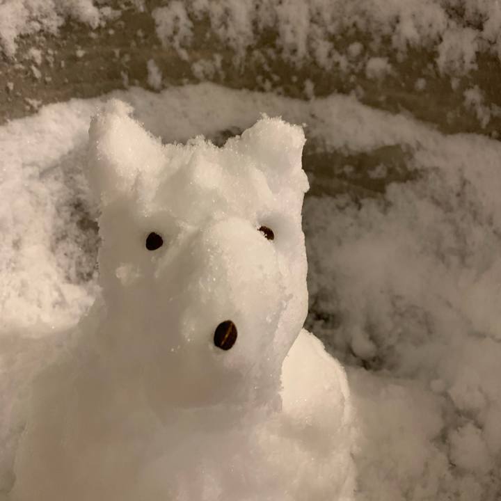 0c56b8f1 1444 4946 ba7f 6410fadde518 1741435903225