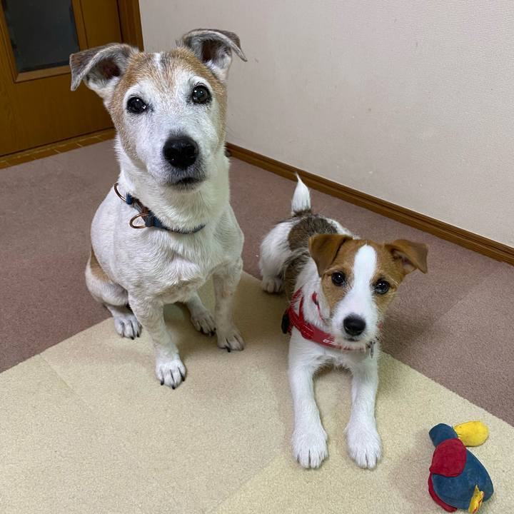 0c56e558 6a3d 4a2e 8788 1d1ad7b9f10f 1619682667929