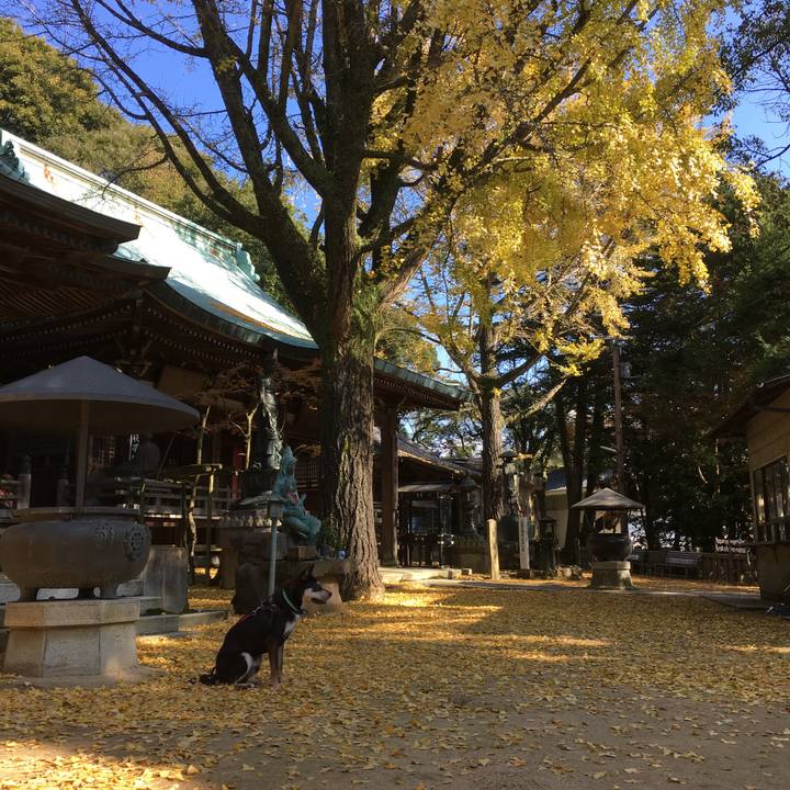 0c56eb33 ac84 4f76 b4ba 3bb064a3840b 1512085382869