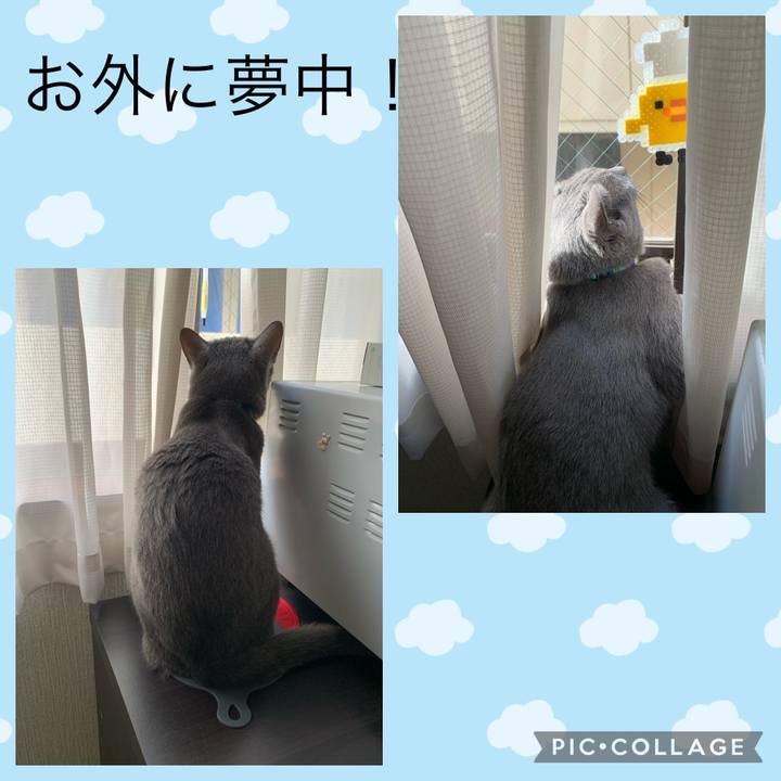 0c56ffda df0b 4f5d ae1a b352a233ecae 1626387776357