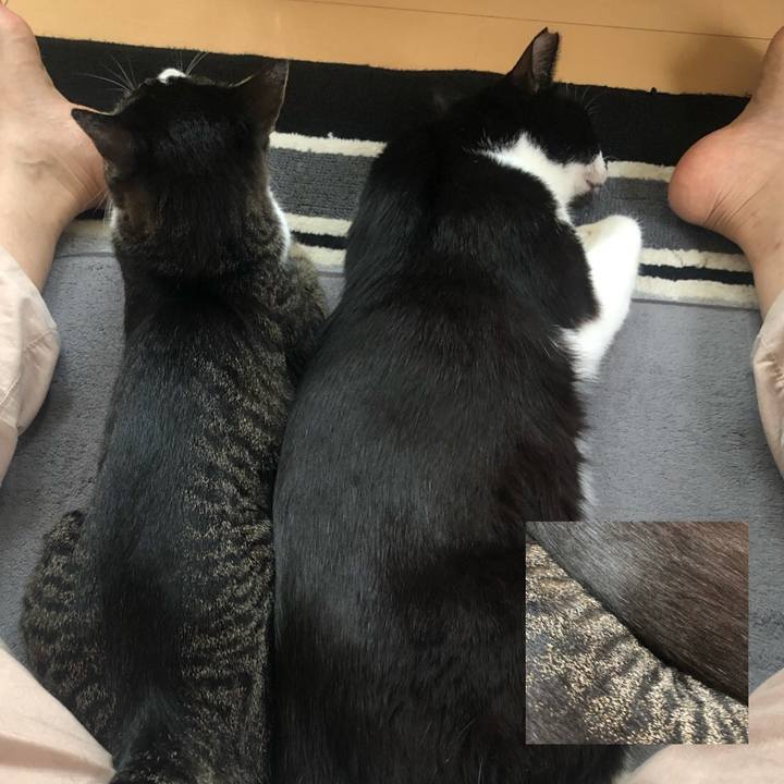 0c5701c6 0704 4e29 a23d d1c7270f0f4e 1594566798982