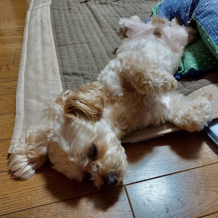 0c571373 cff4 4307 9858 f8ecbcb8d4e0 1626272875215