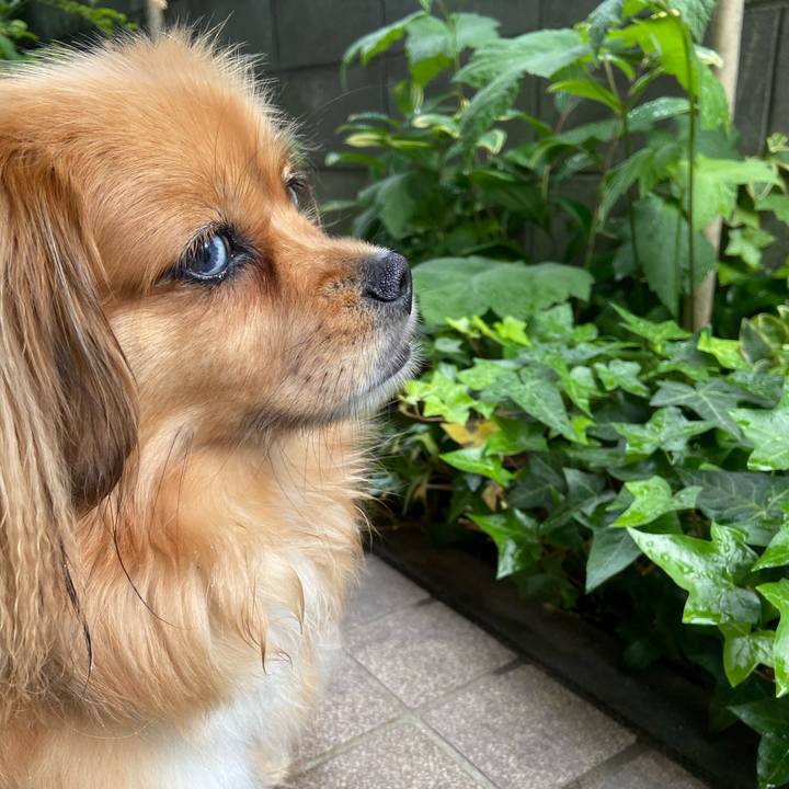 0c571dc0 03db 4463 8f69 c185c796d6d9 1590530010468