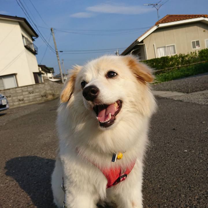 0c572388 91cc 4d9e b50e ba634df0b9e5 1531863916828