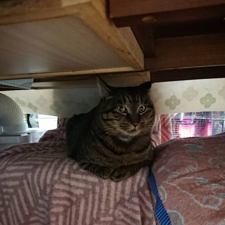 0c575a54 b098 4520 9e05 5db6d7abfd14 1642797271986