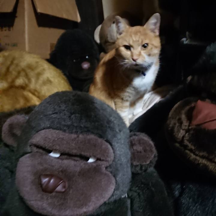 0c57638d 6eb4 4cf2 9000 da65a03d969f 1607076513574