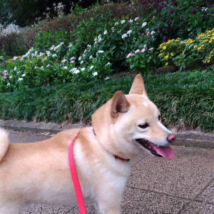 0c576d0a f409 4ce6 bece 383b3ba02ba0 1601898820323