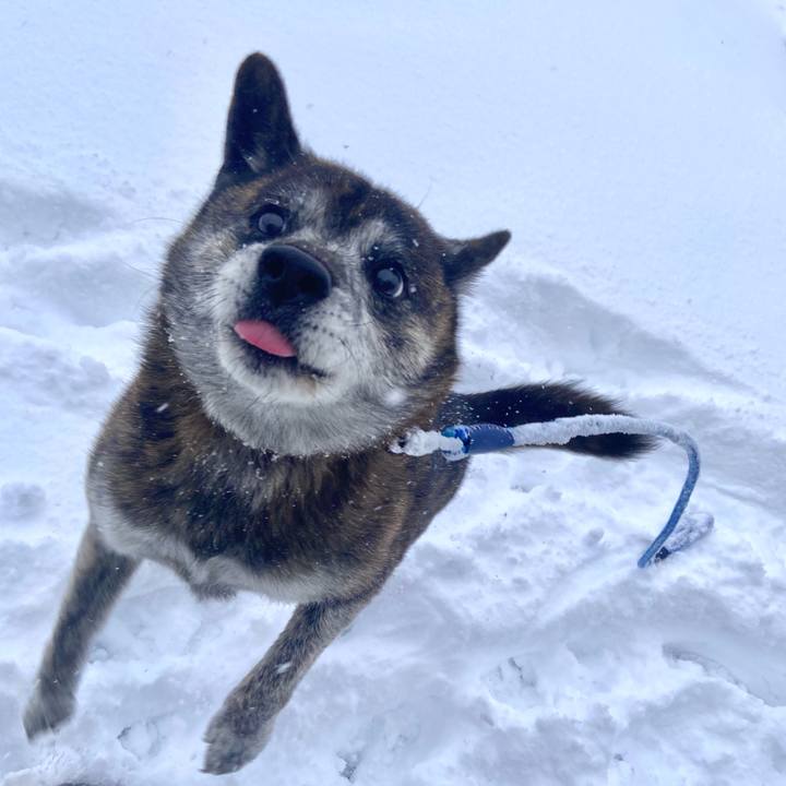 0c57b6d5 4fa5 4809 98ed 5a76da086485 1671415140928