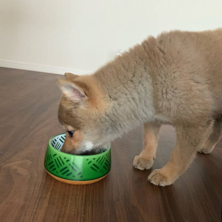 0c57bf95 5018 4335 aec0 45b2d6236781 1618088972268