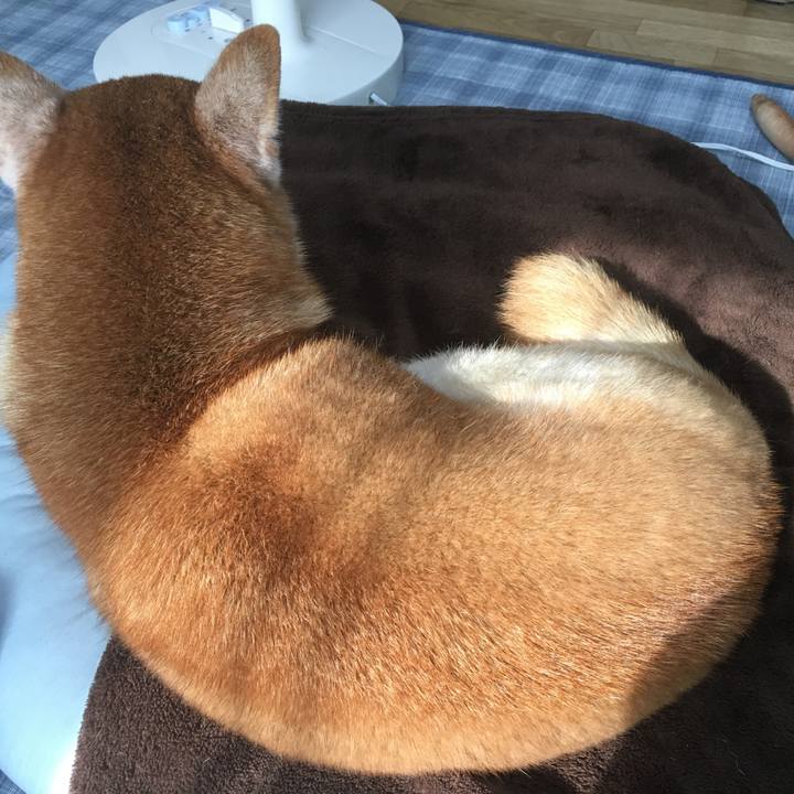 0c580987 bea2 43c0 8923 40f3754461a8 1509887295659