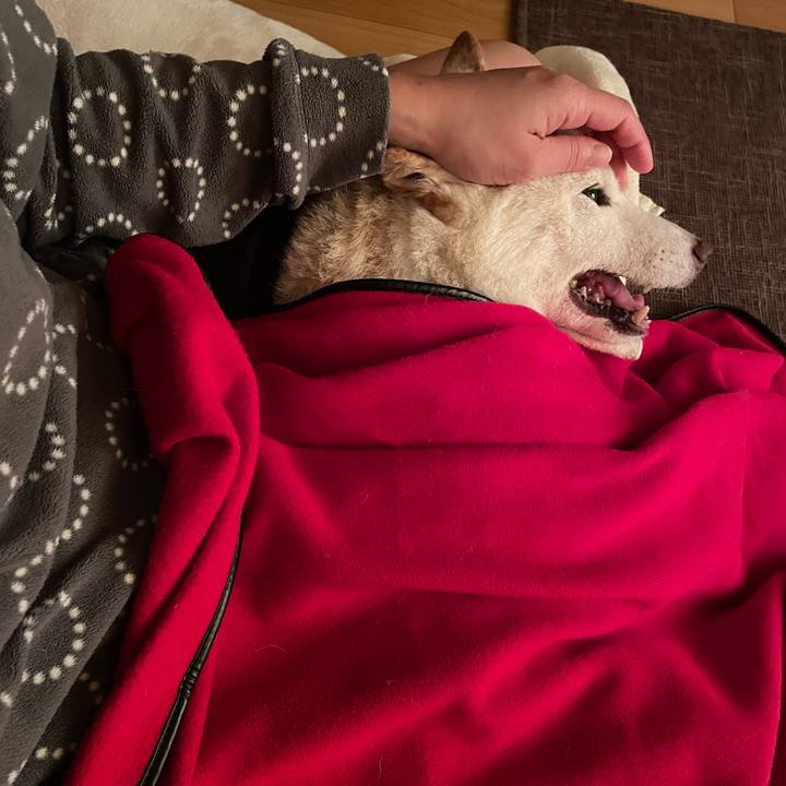 0c580d6c ea54 40c8 a078 ef484cf08224 1666301679298