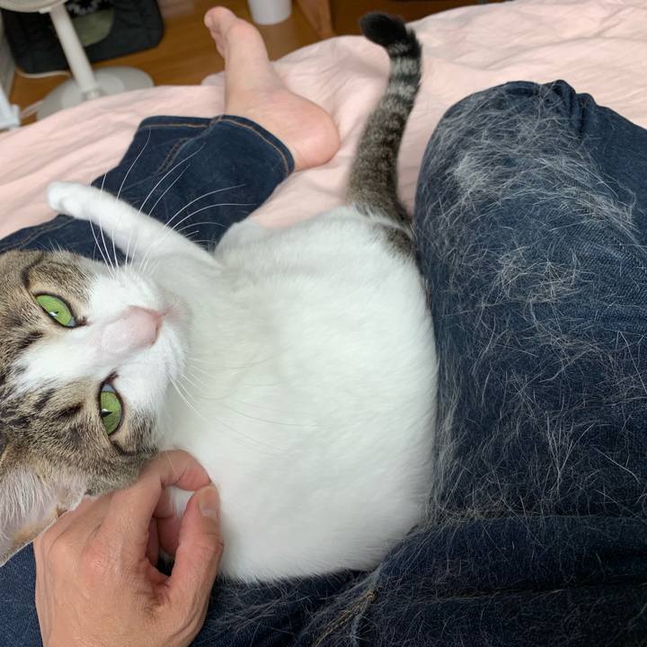 0c582606 a3bc 4217 a2bc b338b5e3aa36 1559979473742