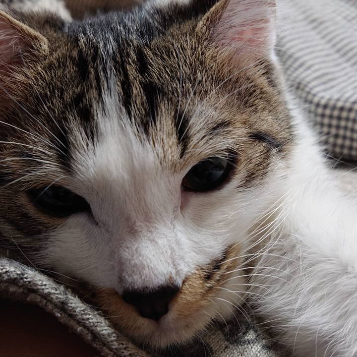 0c58375c 1a83 48b3 b4e9 bfc7e3c25966 1549155474441