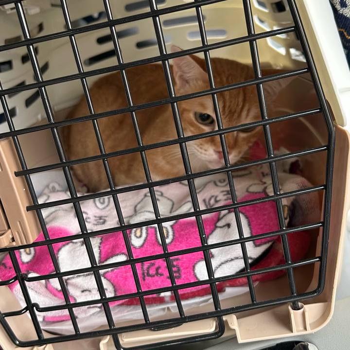 0c585ef9 4b66 417f bc5e 096100971859 1673060927278