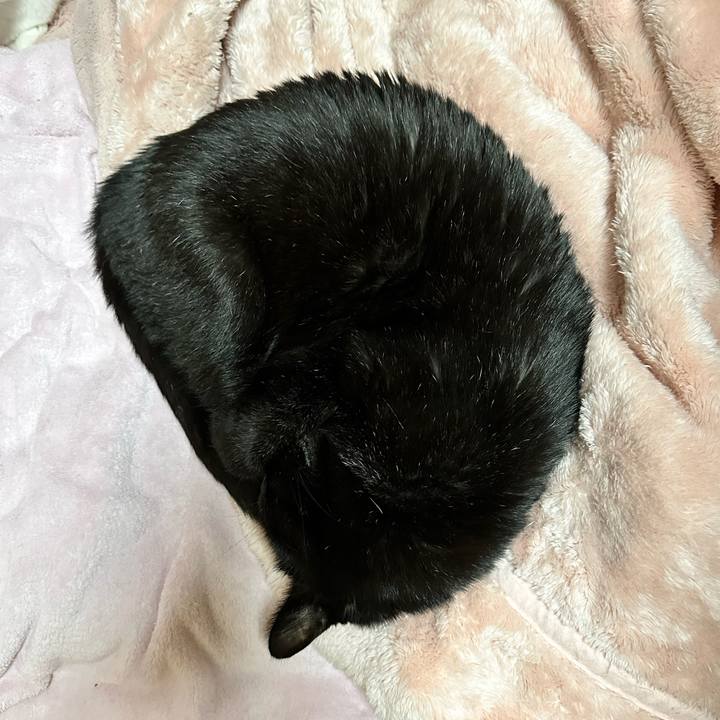 0c589406 c85a 4e2c bedb 96ac0283bb3c 1669859815161