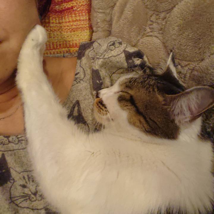 0c58951c 579d 4cf5 9fef 184c79fb4db1 1636974628121