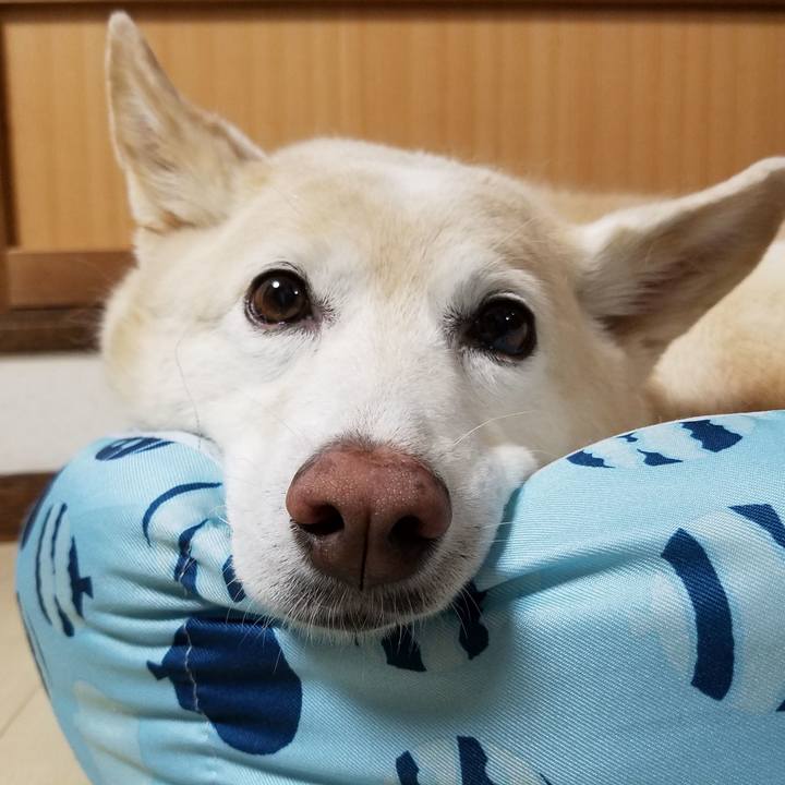 0c58998c a752 4b18 a4c8 1f30f195956a 1567747027503