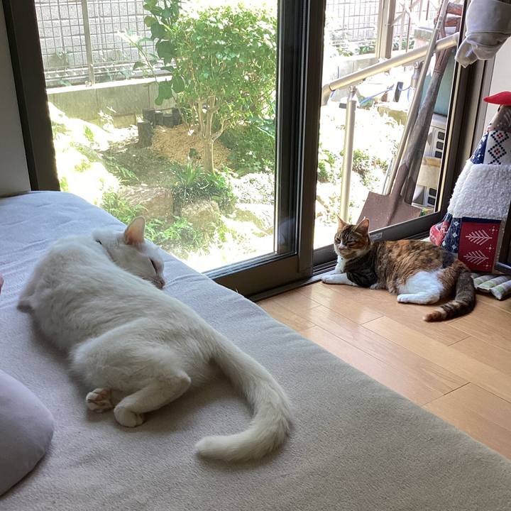 0c58baab a14e 40fd ac81 e8c2411849bb 1654300392039