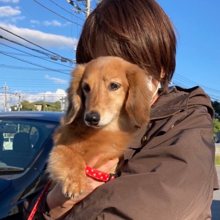 0c58bb3a 6775 402f 9901 e74ef61ae620 1634995993743