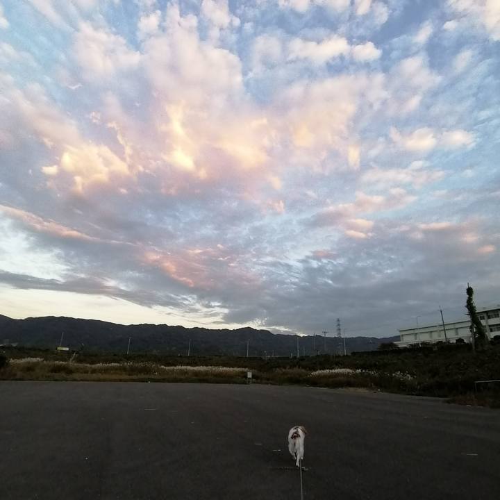 0c58c208 3e07 468c b7a6 24d27ebc9087 1573644869177