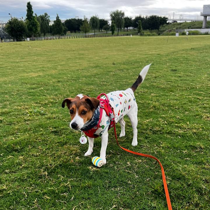 0c58d01e af1e 4290 9c64 c0ee276ecf04 1754113468074