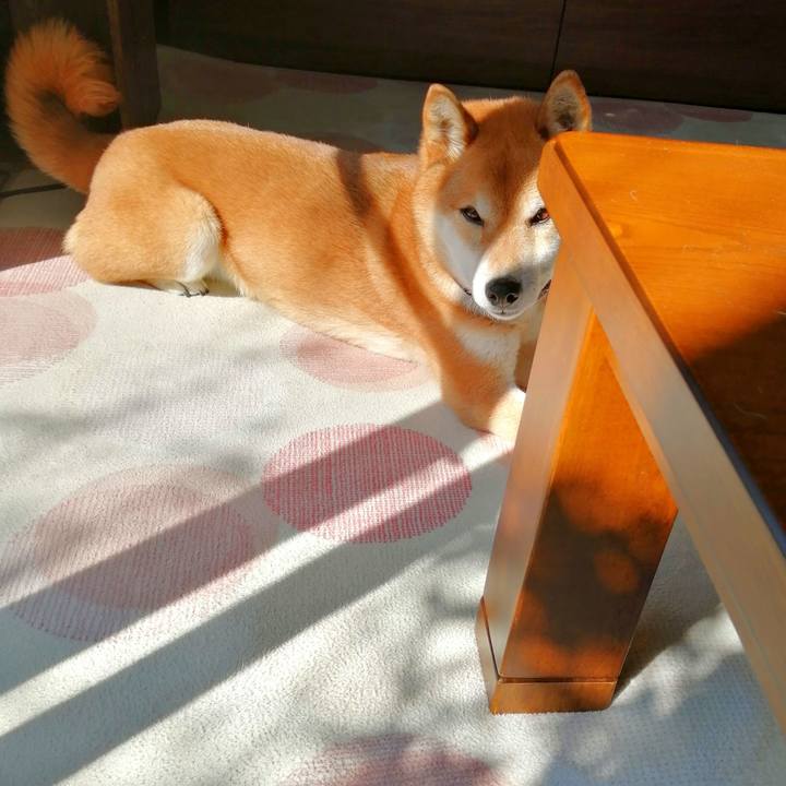 0c5924fb 68c9 463c bfba d2be7a3ed00a 1646787275185