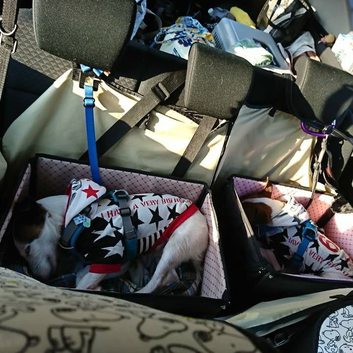 0c593f66 7ac3 45db 8aee 8a0f2f368335 1553414296945