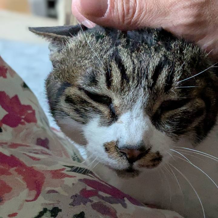 0c595d8d 5b56 4135 801f 3218bef6df43 1741098855214