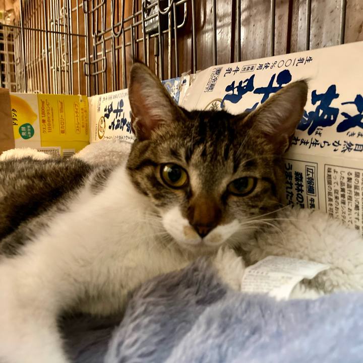 0c596151 30af 460f a13f 300d9967b2f6 1713878083882