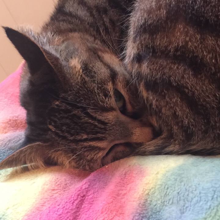 0c596228 55e8 4ff2 afc1 0de7fb5c7364 1574492419899