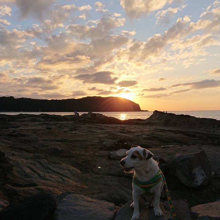 0c598f5d 9937 4ab6 9c3c 2ee2cd935c3d 1543061422041