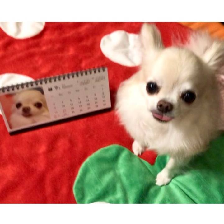 0c59c4b6 c821 4d10 b9db cf3e3a74e565 1535759391238