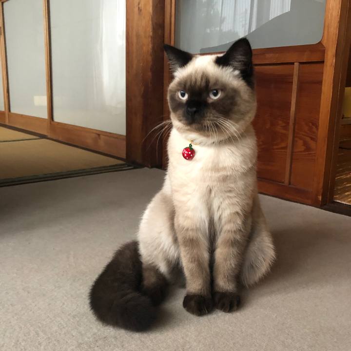 0c59cd80 d5b4 44b2 9002 eb6a8dbdea80 1595126603307