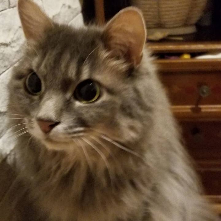 0c5a2523 2308 4b21 9874 f5bff82c866a 1533903533932