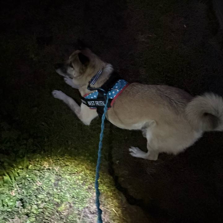 0c5a2597 74df 4392 bd05 c36ed57ff050 1737032239590