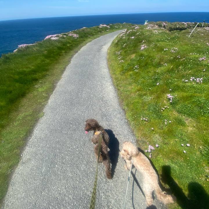 0c5a45e8 c847 4e0f b7f1 a2f270ac702e 1622391874073