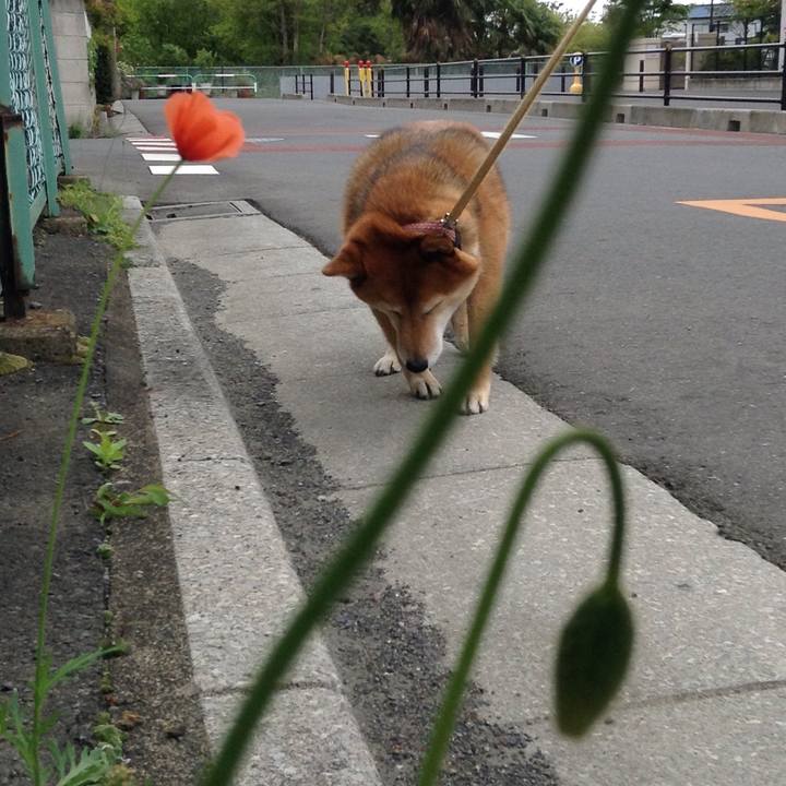 0c5a8cd2 1f8f 45a2 984b 5866e4ad2bb8 1523846789076