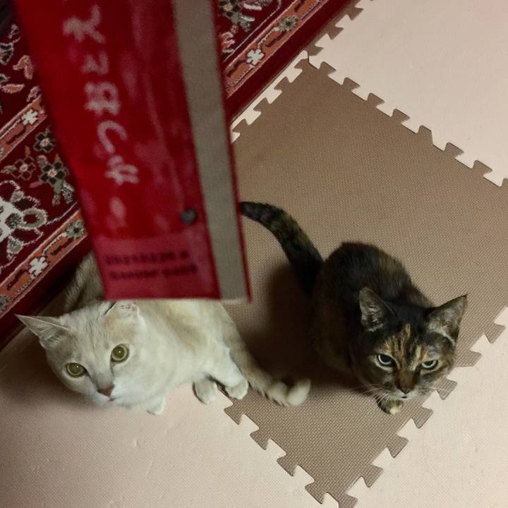 0c5ac9c7 8112 40da 80f6 ce5dc900a1f9 1571138426124