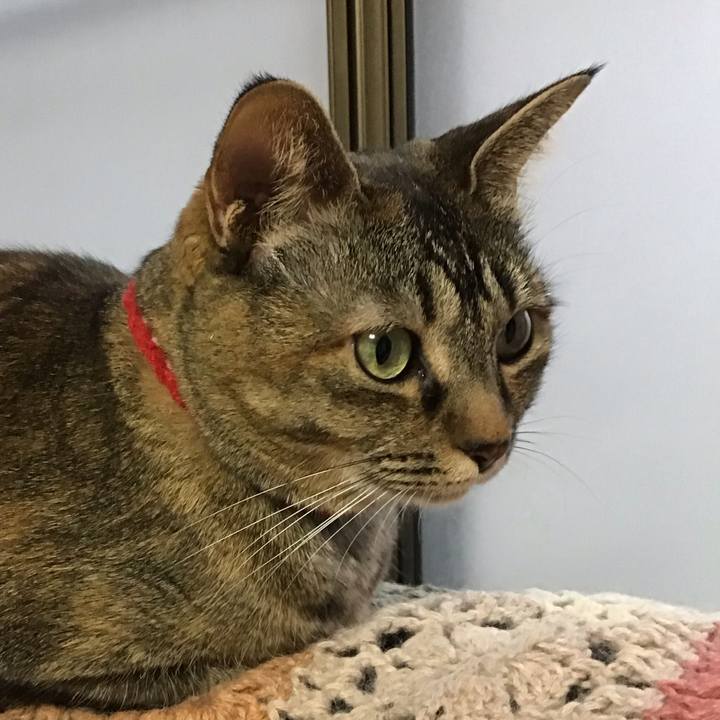 0c5ad5fd 56b2 4a64 b1da e9de2cffa1ef 1680697123750