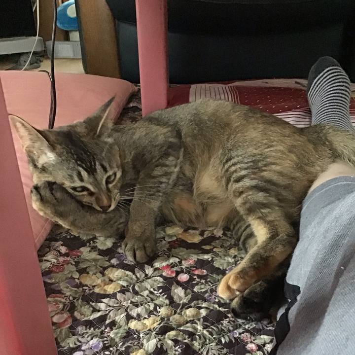 0c5b1bda 3b93 4eda b74f 01b1866f7654 1592447983329